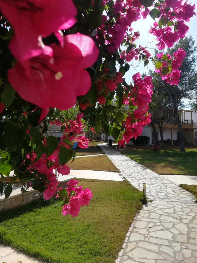Hotel Marzi Beach&Bungalows Kokkónion Exterior foto