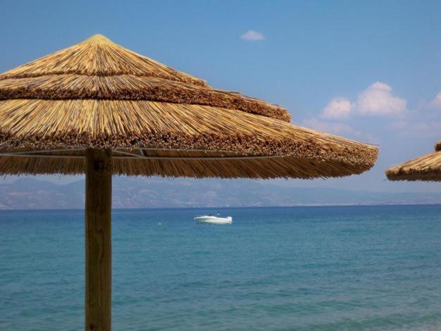 Hotel Marzi Beach&Bungalows Kokkónion Exterior foto